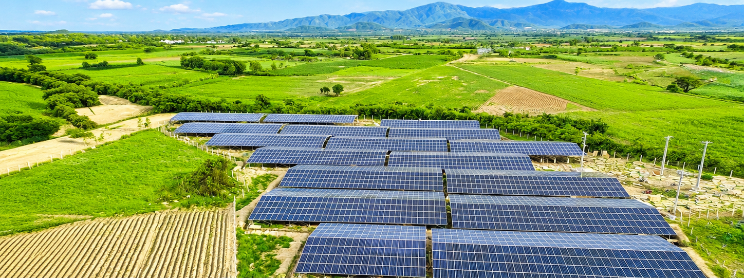 ĐMT mái nhà ECO Thuận Nam